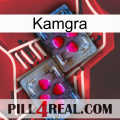 Kamgra 15
